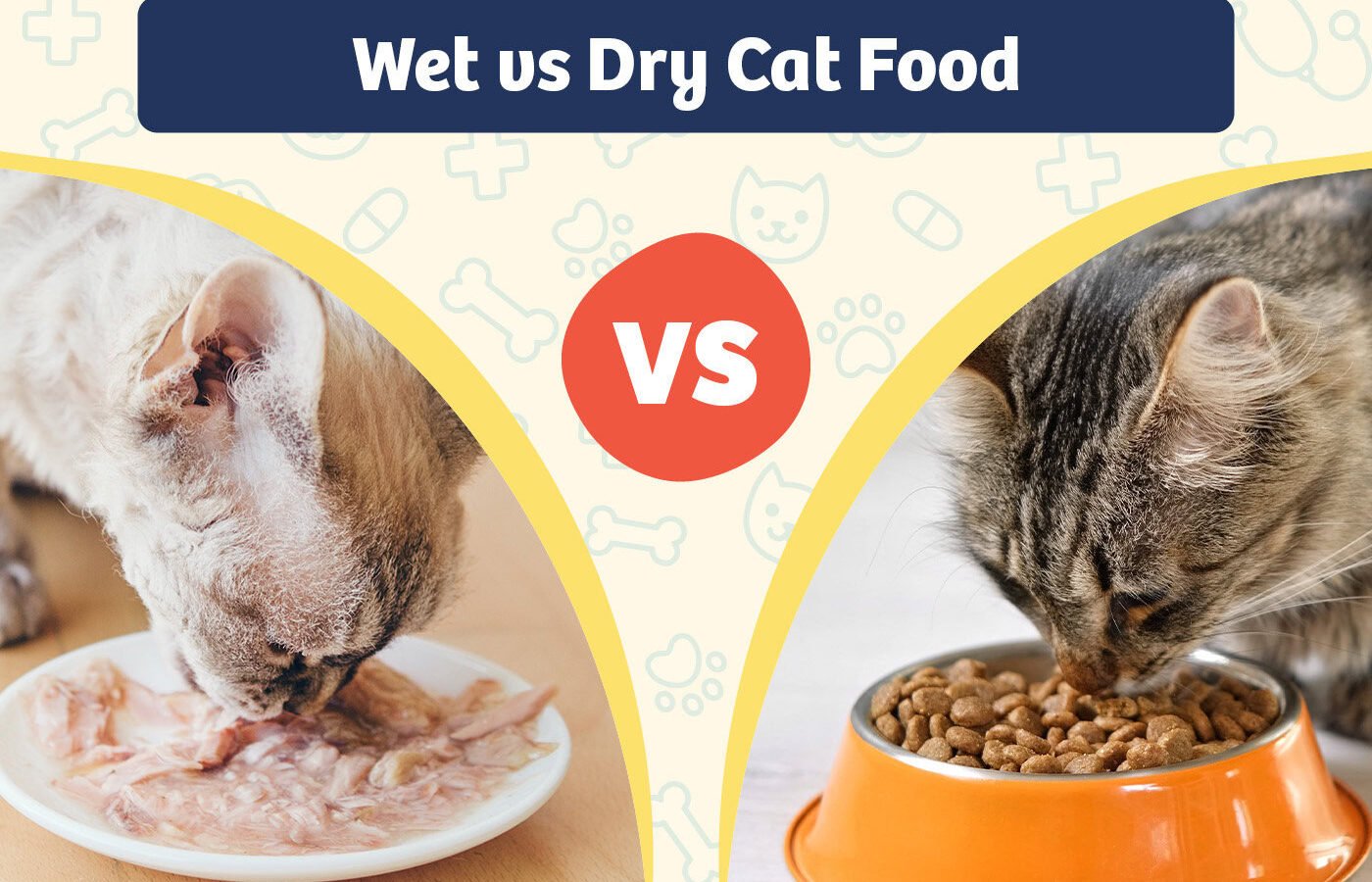 Wet vs. Dry Cat Food: Which Is Better for Your Cat?