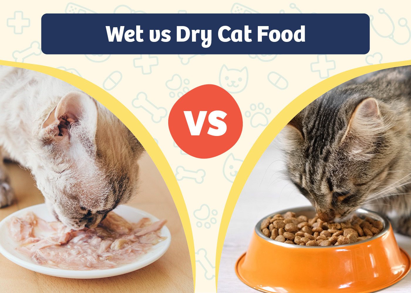 Wet vs. Dry Cat Food: Which Is Better for Your Cat?
