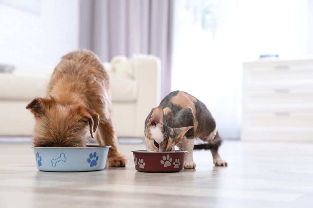 pet food guide for dogs and cats