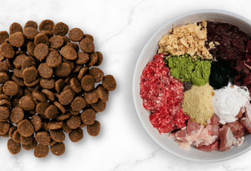 Complete and Balanced Pet Food: What Does It Really Mean?