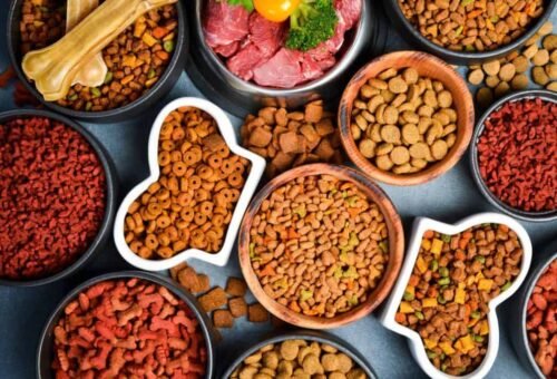 5 Essential Pet Food Ingredients: A Simple Guide
