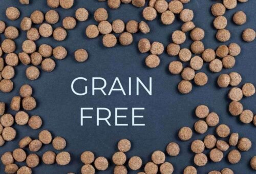 Grain-Free, Raw, or Traditional Kibble: Comparing the Evidence, Not the Trends