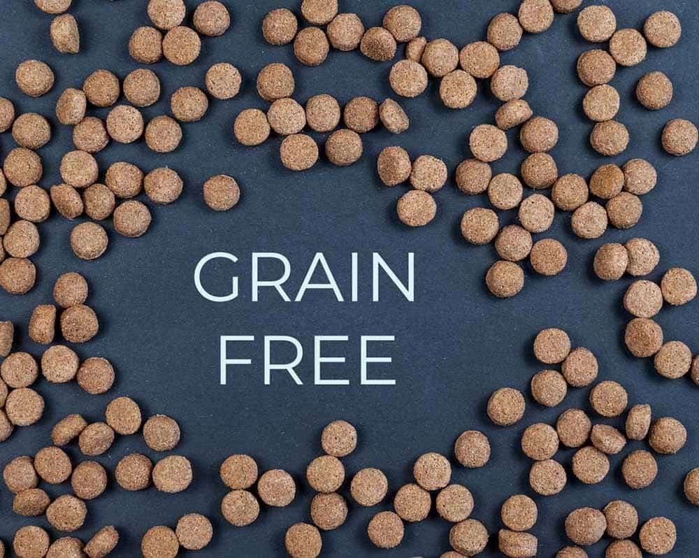 Grain-Free, Raw, or Traditional Kibble: Comparing the Evidence, Not the Trends