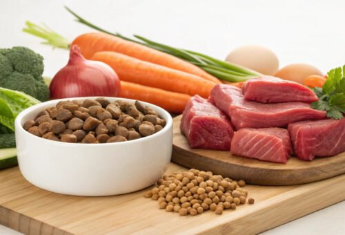 Protein Quality vs. Protein Quantity: Why “High Protein” Labels Can Mislead