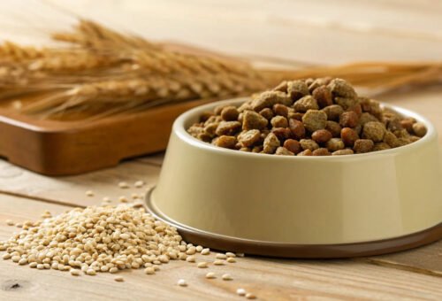 Grains, Fillers, and “Ancient Grains”: Separating Marketing From Nutrition Science